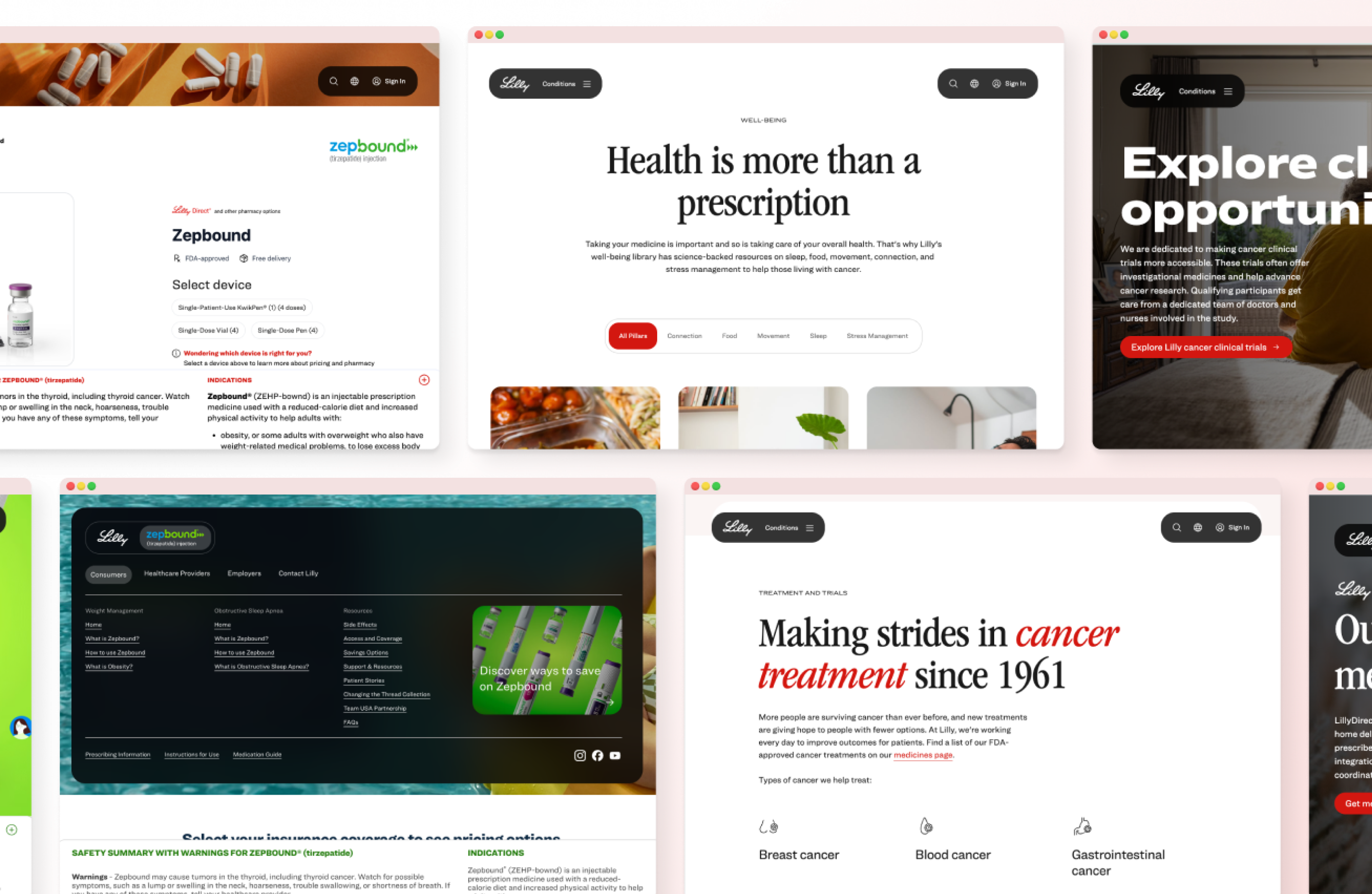 Lilly desktop design screens